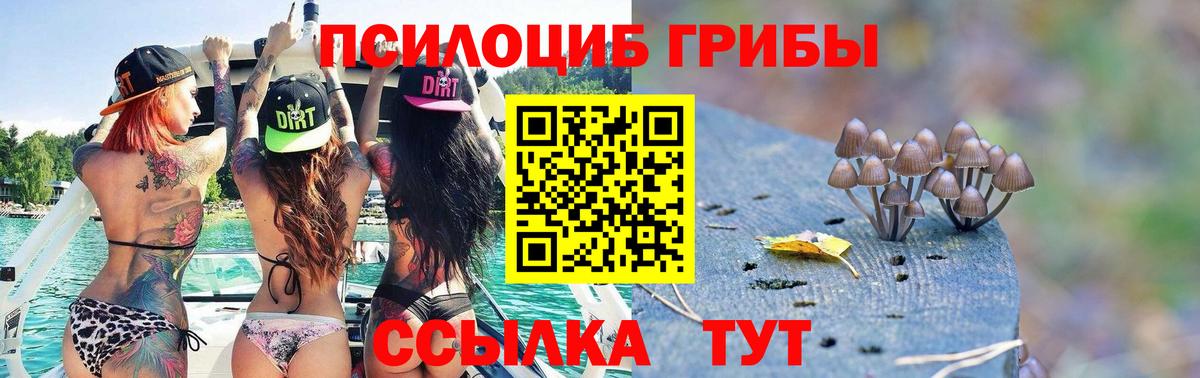 что такое наркотик  Вход с VPN  Дзержинский  Галлюциногенные грибы Cubensis 