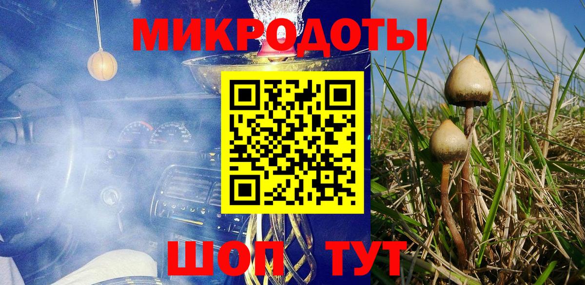 Псилоцибиновые грибы прущие грибы Дзержинский